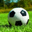 XC Sports 官方网站标志